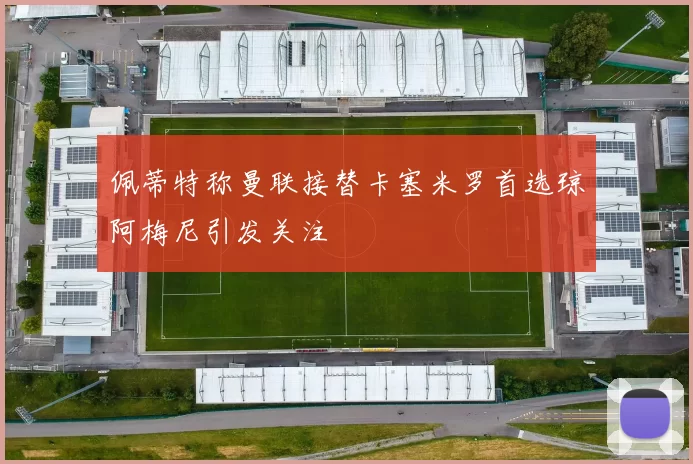 佩蒂特称曼联接替卡塞米罗首选琼阿梅尼引发关注